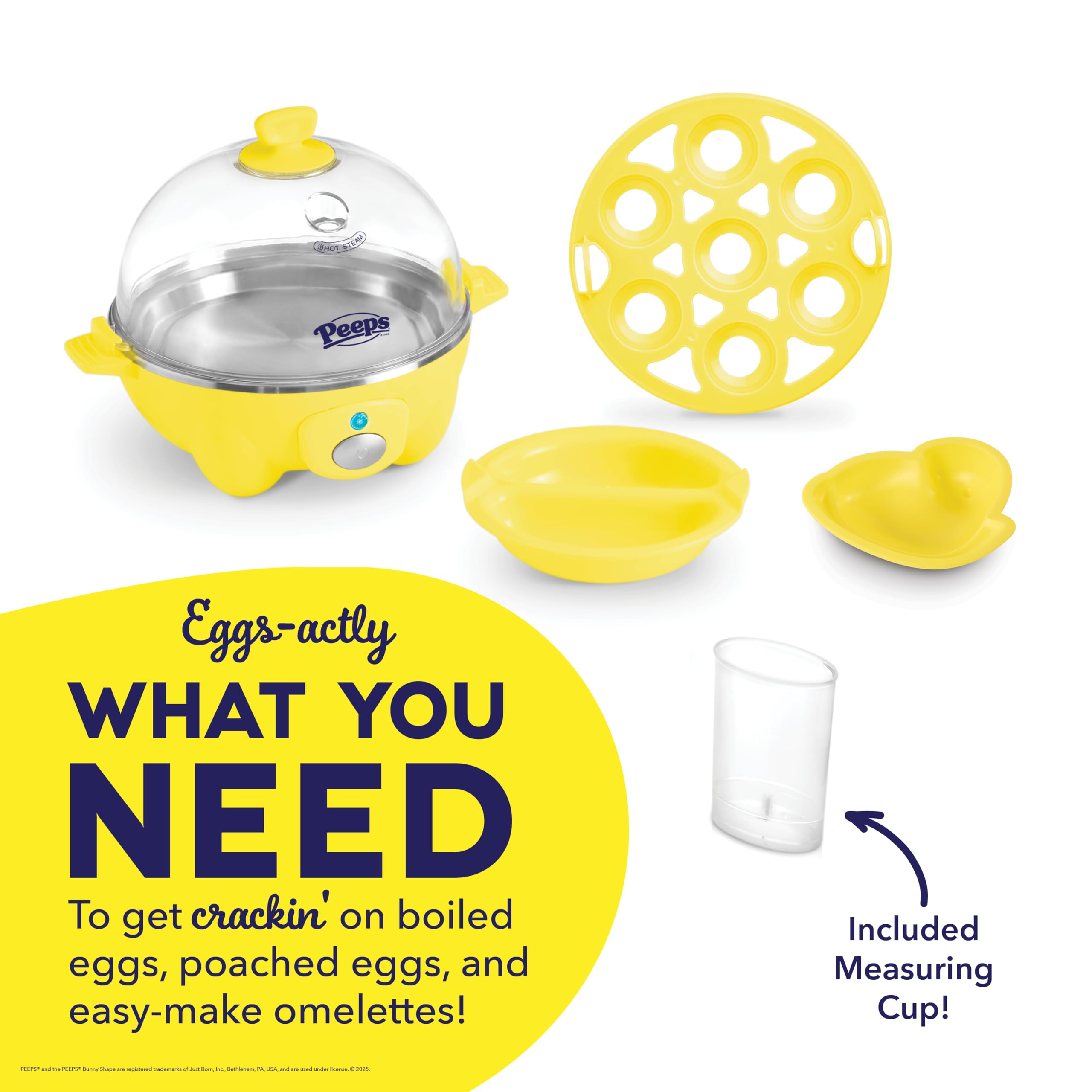 Dash Rapid Egg Cooker, 7 Hard Boiled Eggs, Aqua | Electric Egg Poacher